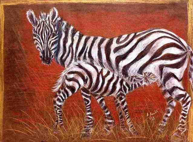 zebras/Prisma