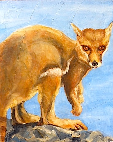 fox:kanga