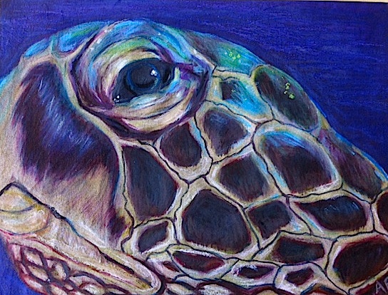 turtle head/Prisma