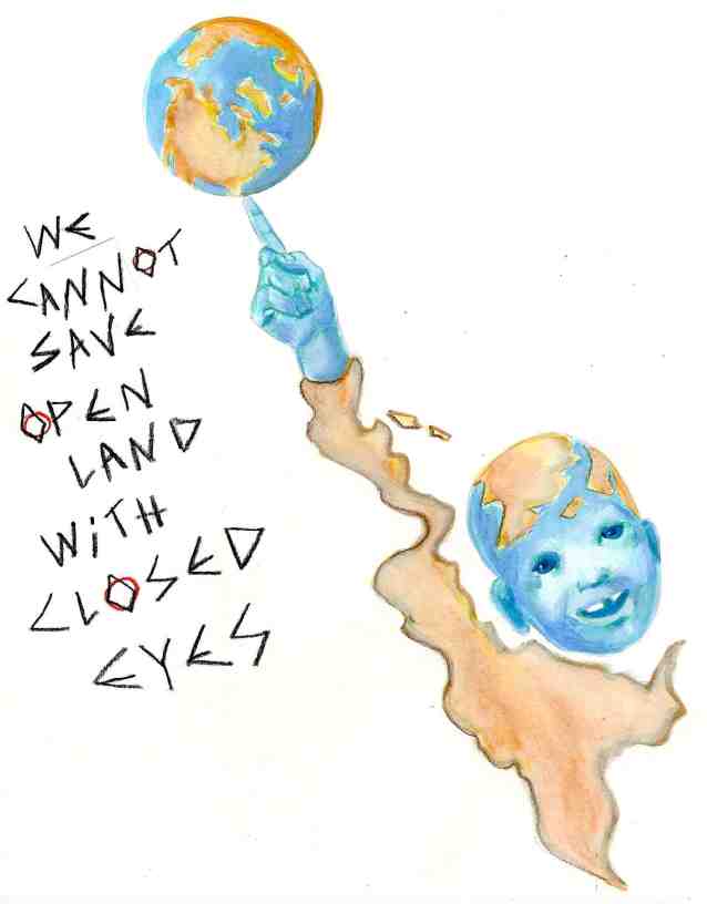 Open Land